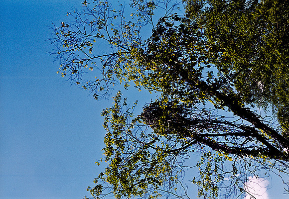 FILM