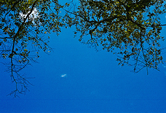 FILM