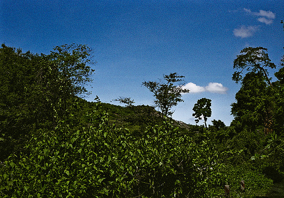 FILM