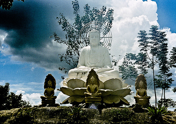 FILM