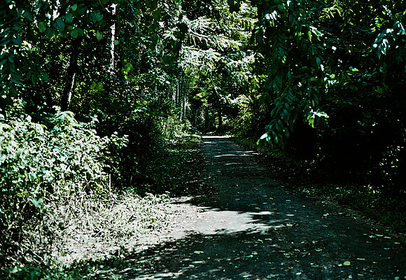 FILM
