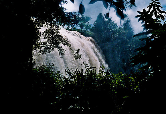 FILM