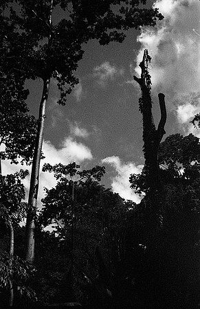 FILM