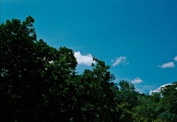 FILM