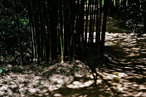 FILM