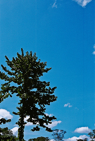 FILM