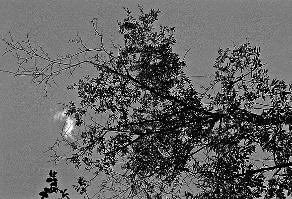 FILM
