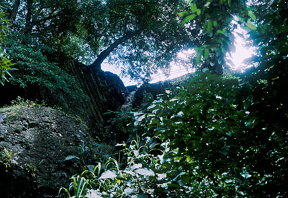 FILM
