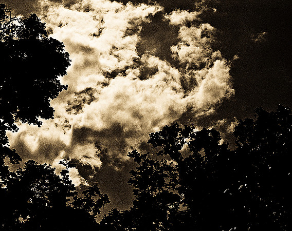 FILM