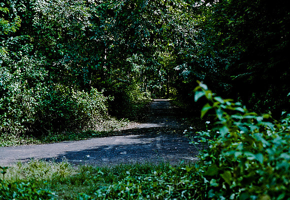 FILM