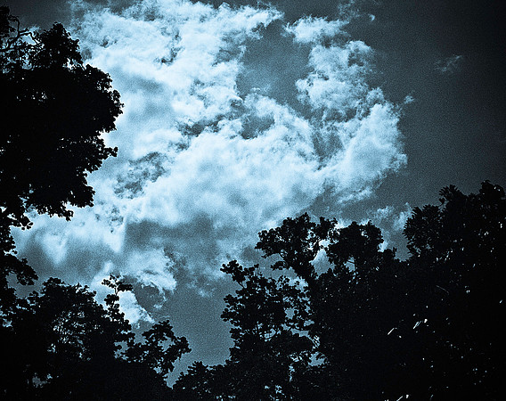 FILM