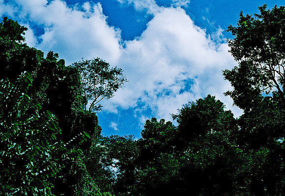 FILM