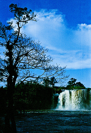 FILM