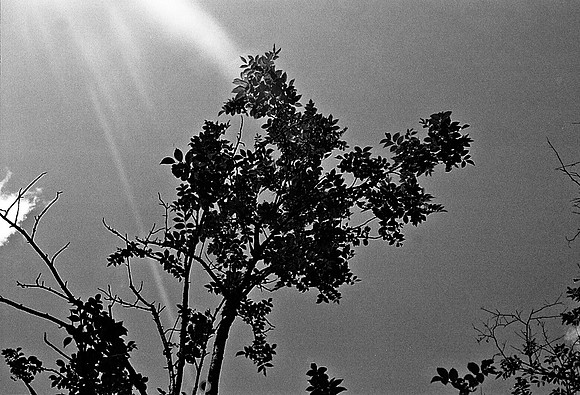 FILM