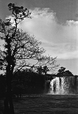 FILM