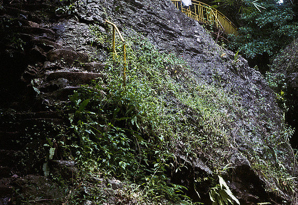 FILM