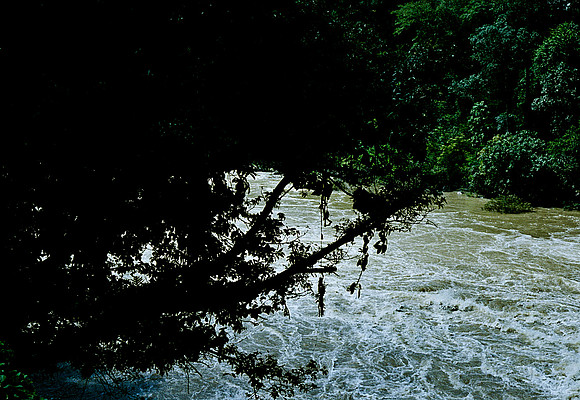 FILM