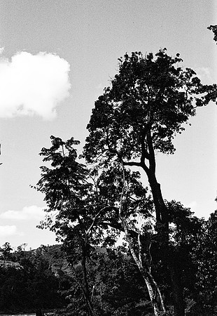 FILM
