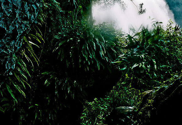 FILM