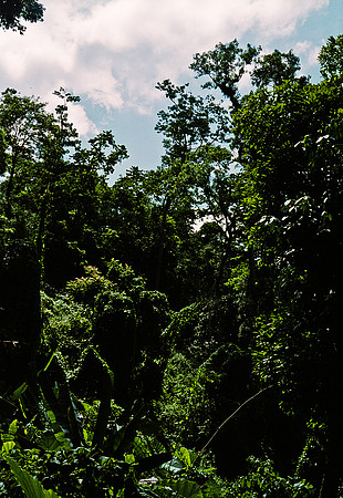 FILM