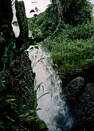 FILM