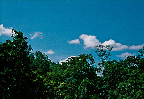 FILM