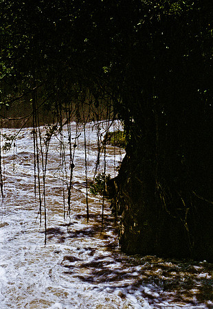 FILM