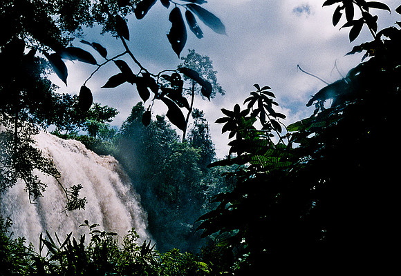 FILM