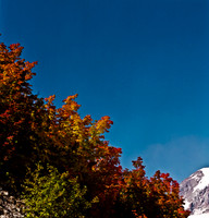 6053_COLOR_SQ_MONTANA_WASHINGTON_05_2.jpg