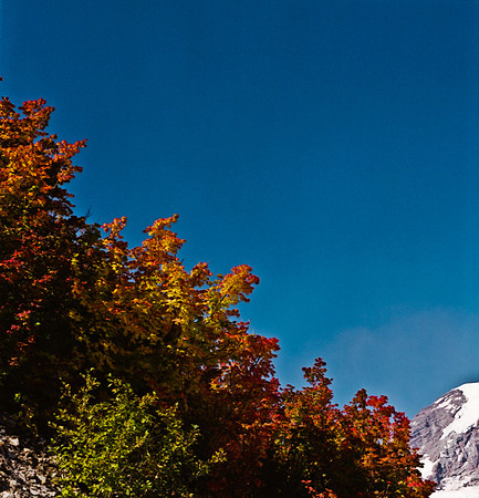 6053_COLOR_SQ_MONTANA_WASHINGTON_05_2.jpg