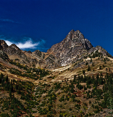6061_FM_COLOR_SQ_USA_WASHINGTON_05_1.jpg