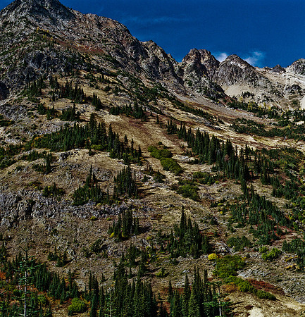 6061_FM_COLOR_SQ_USA_WASHINGTON_05_2.jpg