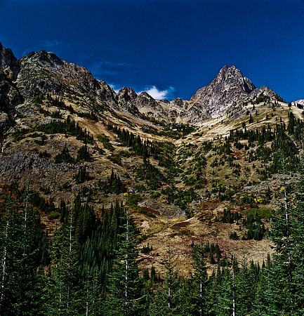 6061_FM_COLOR_SQ_USA_WASHINGTON_05_6.jpg