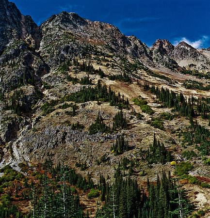 6061_FM_COLOR_SQ_USA_WASHINGTON_05_4.jpg