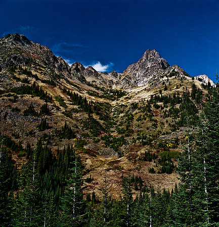 6061_FM_COLOR_SQ_USA_WASHINGTON_05_7.jpg