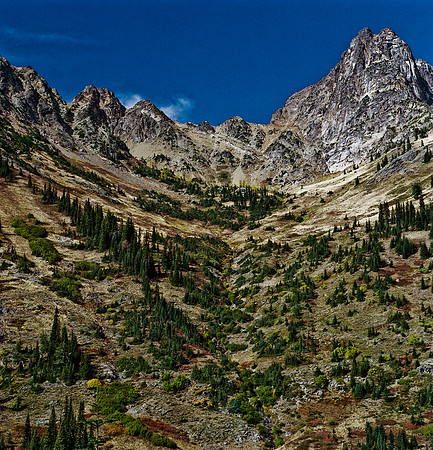 6061_FM_COLOR_SQ_USA_WASHINGTON_05_3.jpg