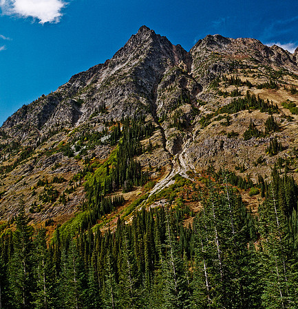 6061_FM_COLOR_SQ_USA_WASHINGTON_05.jpg