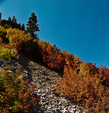 6053_COLOR_SQ_MONTANA_WASHINGTON_05.jpg