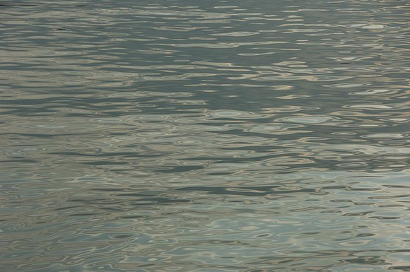 DSC6_0065
