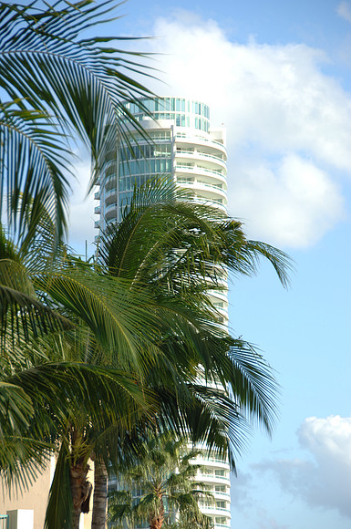 DSC_0348