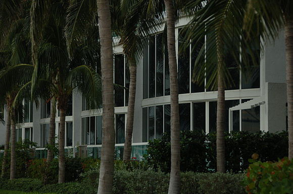 DSC6_0067