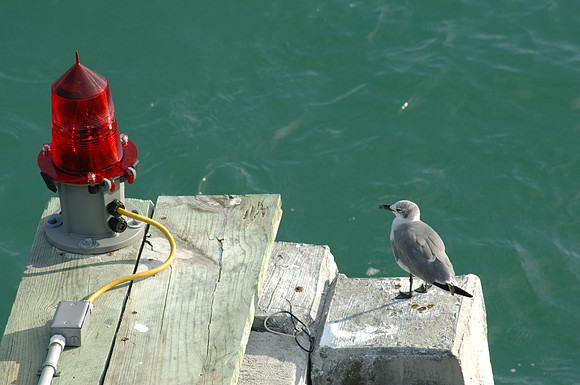 DSC4_0224_S_Beach_FL_10_06