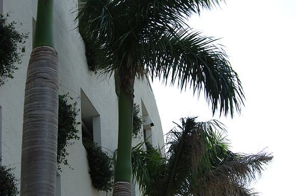 DSC4_0199_S_Beach_FL_10_06