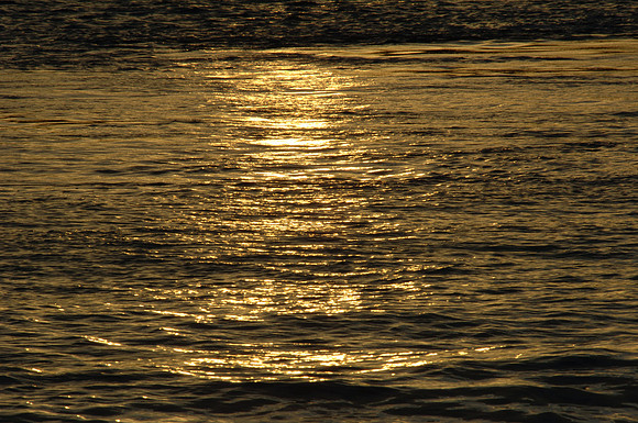 DSC_0431