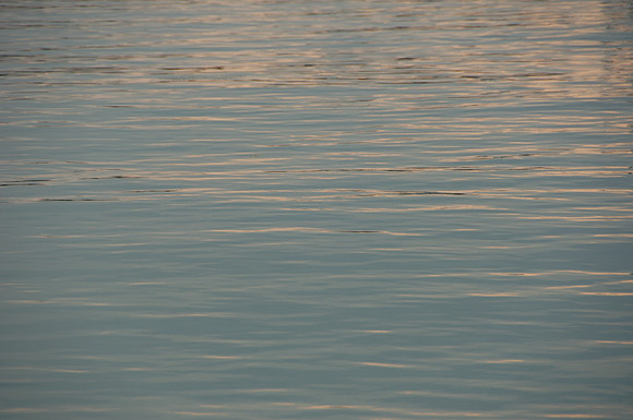 DSC6_0070