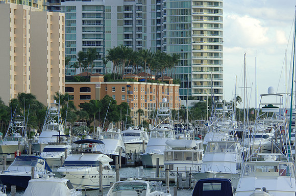 DSC_0370