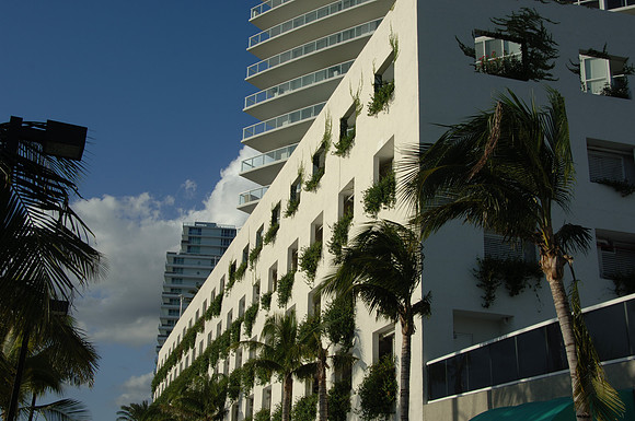 DSC_0329