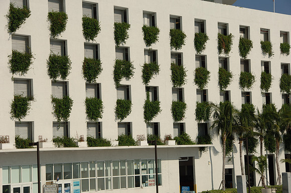 DSC4_0174_S_Beach_FL_10_06