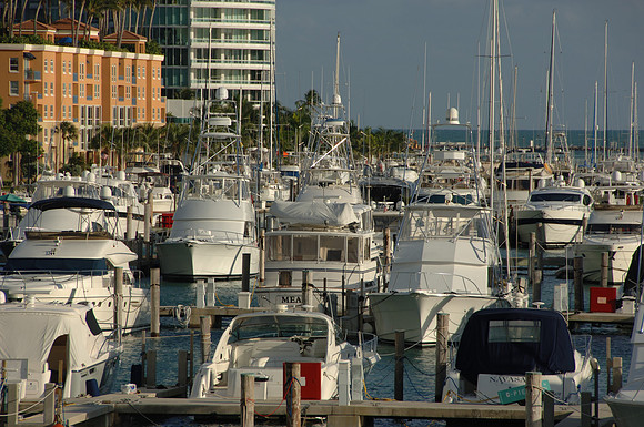 DSC_0308