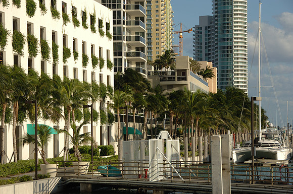 DSC_0321